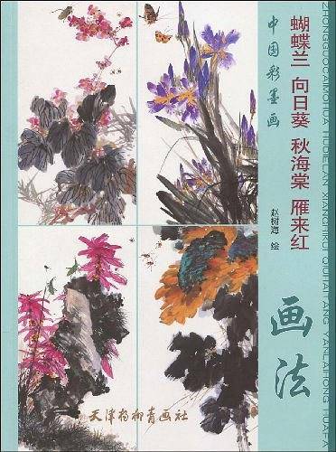 蝴蝶兰向日葵秋海棠雁来红画法