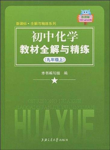 初中化学教材全解与精练