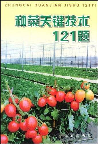 种菜关键技术121题