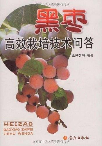 黑枣高效栽培技术问答