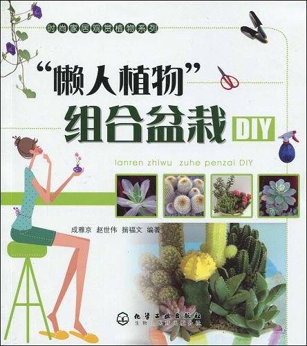 “懒人植物”组合盆栽DIY