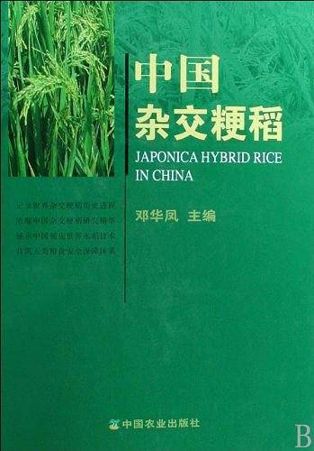 中国杂交粳稻