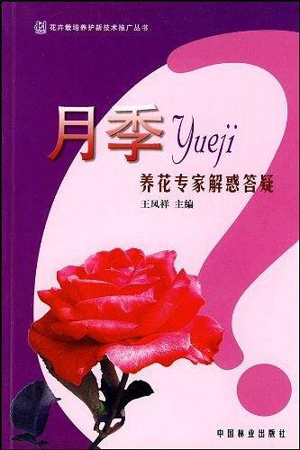 月季养花专家解惑答疑