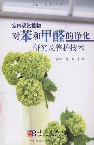 室内观赏植物对苯和甲醛的净化研究及养护技术