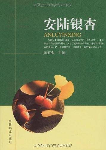 安陆银杏