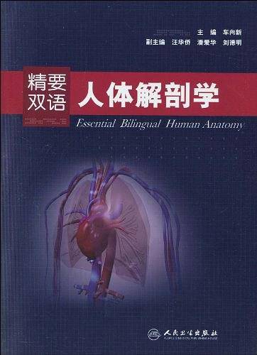 精要双语人体解剖学