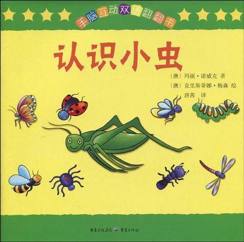 认识小虫