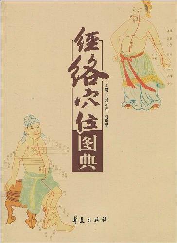 经络穴位图典