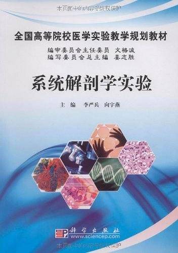 系统解剖学实验