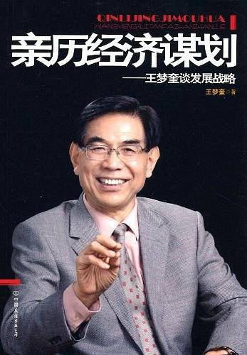 亲历经济谋划