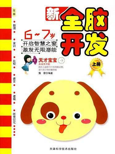 新全脑开发