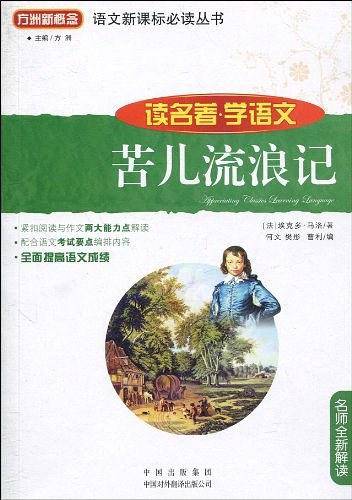 苦儿流浪记