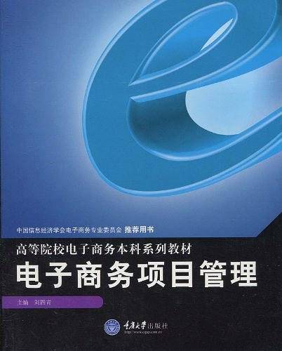电子商务项目管理