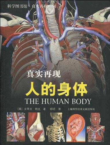 人的身体