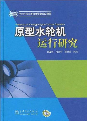 原型水轮机运行研究