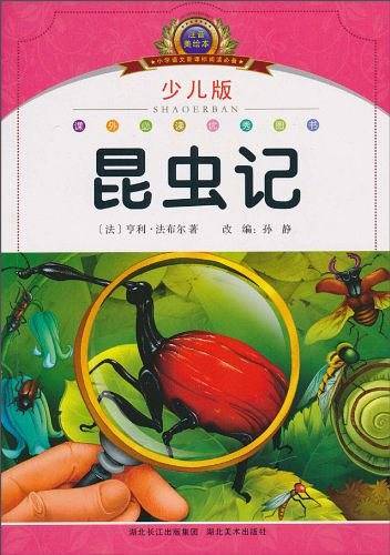 昆虫记 少儿版