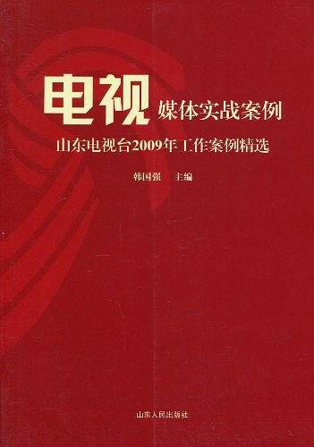 电视媒体实战案例