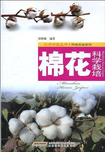 棉花科学栽培