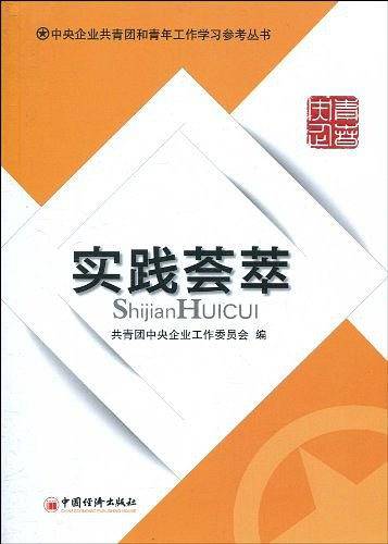 中央企业共青团和青年工作学习参考丛书.实践荟萃