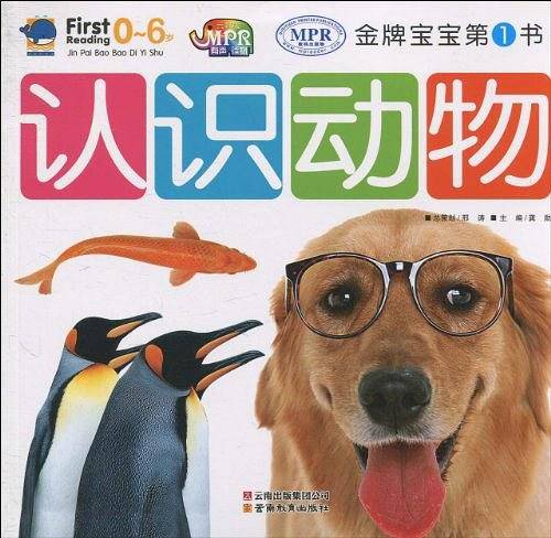 金牌宝宝-认识动物