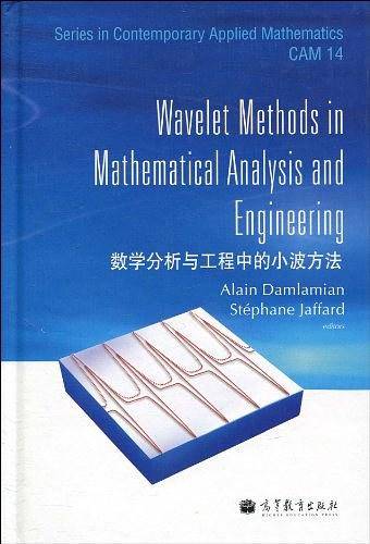 数学分析与工程中的小波方法