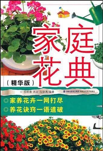 家庭花典