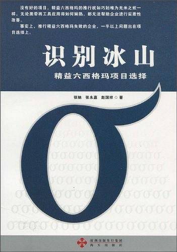《识别冰山-精益六西格玛项目选择》