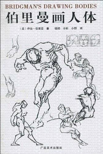 伯里曼画人体
