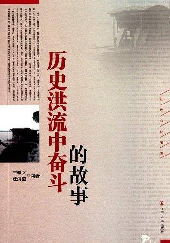 历史洪流中奋斗的故事