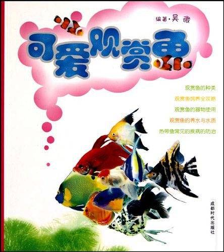 可爱观赏鱼