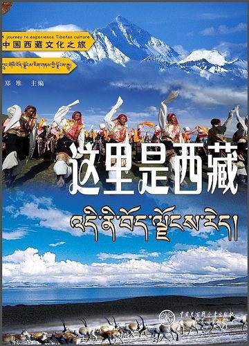 这里是西藏