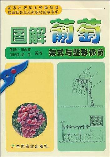 图解葡萄架式与整形修剪