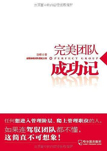 完美团队成功记
