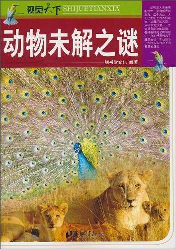 视觉天下