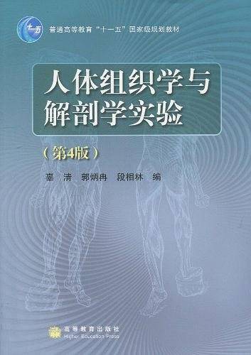 人体组织学与解剖学实验