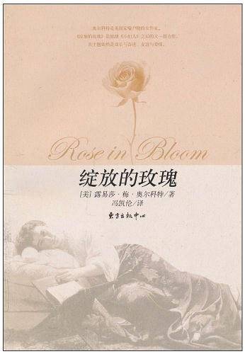 绽放的玫瑰