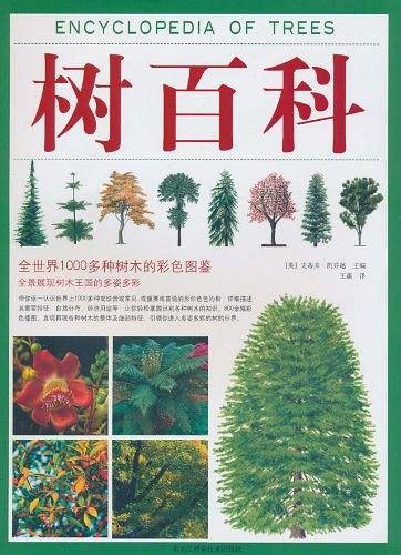 树百科