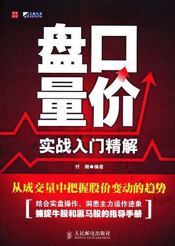 盘口量价实战入门精解