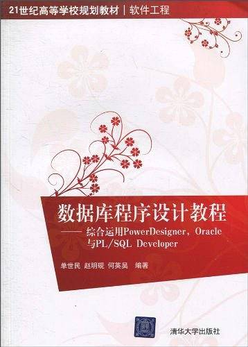 数据库程序设计教程――综合运用PowerDesigner，Oracle与PL/SQL Developer