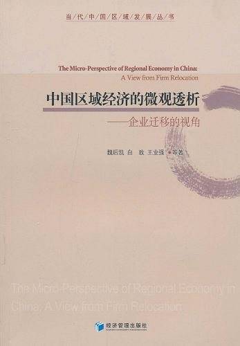 中国区域经济的微观透析