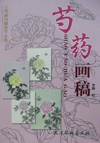 芍药画稿