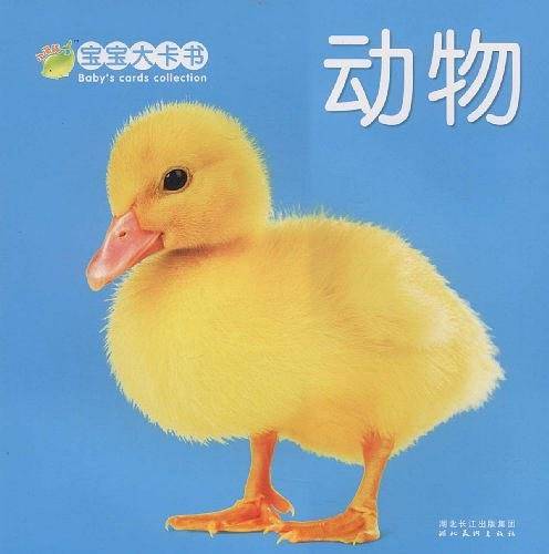 宝宝大卡书：识字