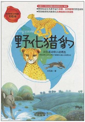 野化猎豹