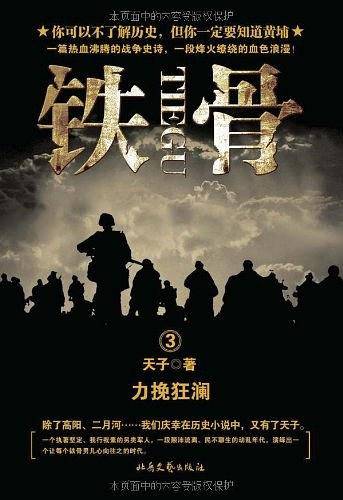 铁骨 3：力挽狂澜
