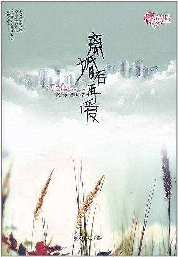 离婚后再爱