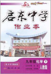 九年级化学