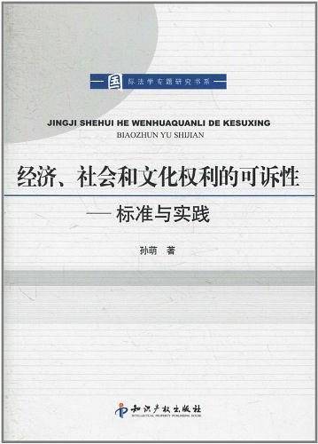 经济、社会和文化权利的可诉性－标准与实践