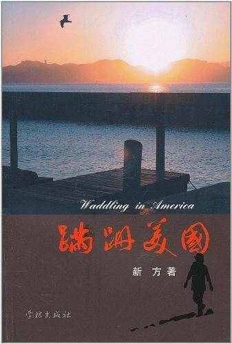 蹒跚美国