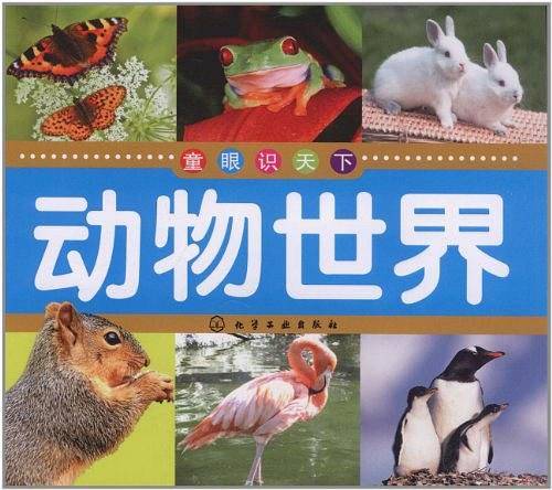 童眼识天下