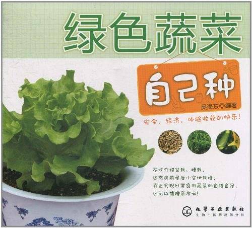绿色蔬菜自己种